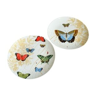 Pier 1 Imports Butterfly Plates Poetry In Motion Salad Vntg Lady Bug Botanical